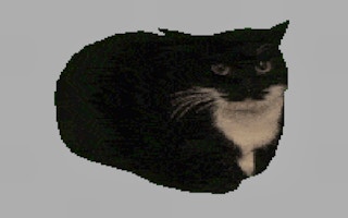 Image Spinning Cat Clicker